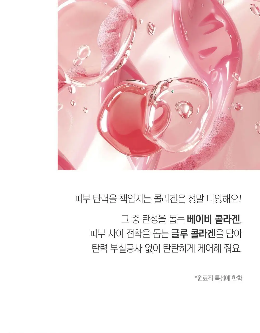 [10층탄력] 라운드랩 동백 딥 콜라겐 탄력 크림 50ml 기획 (+10ml) 상세페이지 11